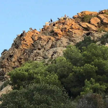 Loft Place Du Diamant Hyper Centre 50m