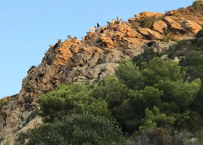 Loft Place Du Diamant Hyper Centre 50m