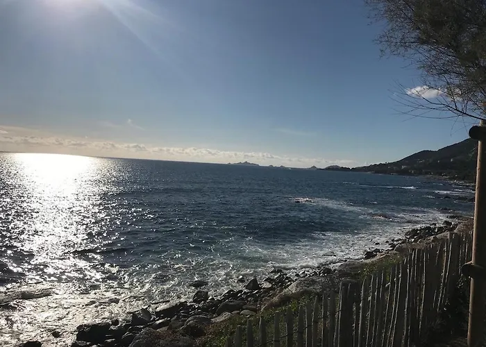 Loft Place Du Diamant Hyper Centre 50m Daire *